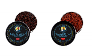 Œufs de homard Bleu – Petrossian © Collection Petrossian