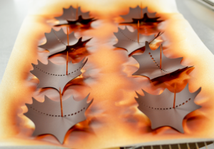 Feuilles en chocolat - La Maison du Chocolat © Tendance Food