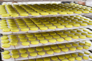 Macarons - La Maison du Chocolat © Tendance Food