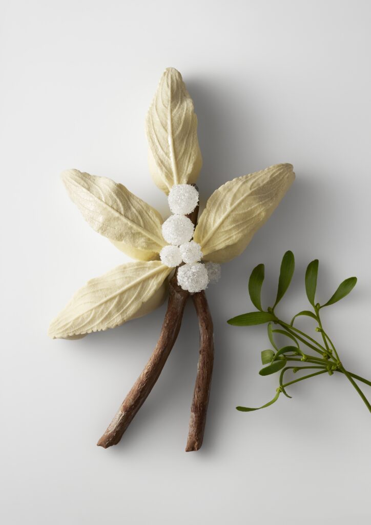 Bûche 2025 - Park Hyatt Paris