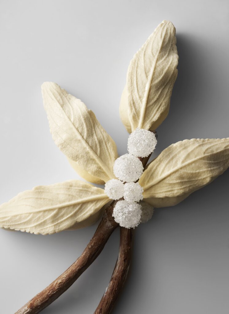 Bûche 2025 - Park Hyatt Paris