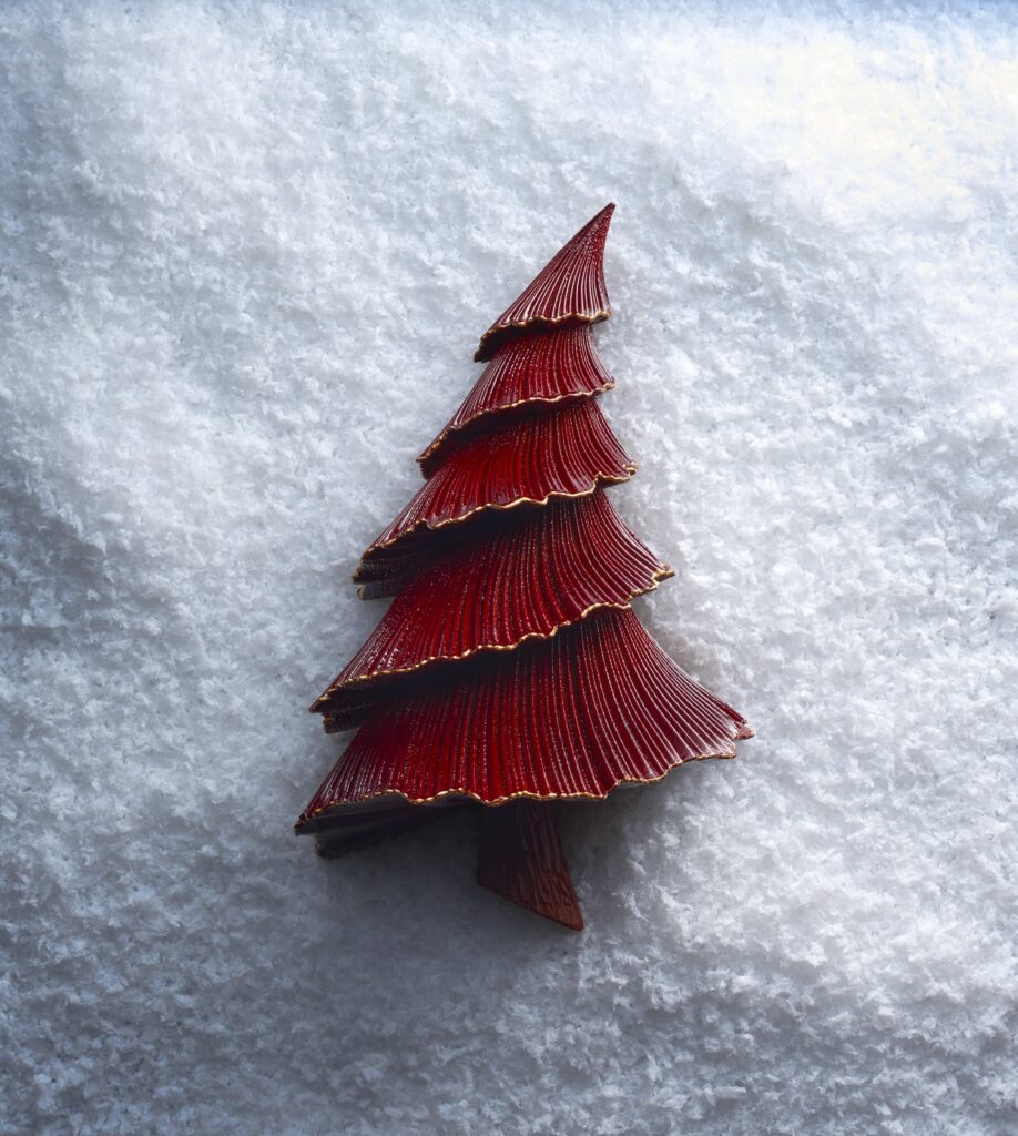 Bûche Maxence Barbot - Studio des Fleurs – ©Laurent Fau